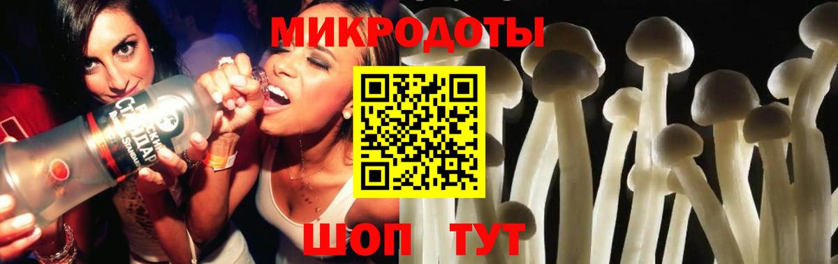 Бузулук  закладка  Вход с VPN  Галлюциногенные грибы Cubensis 