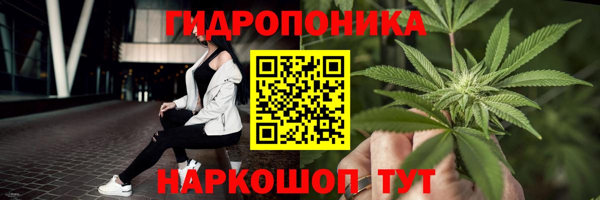 Бошки Шишки сатива Бузулук